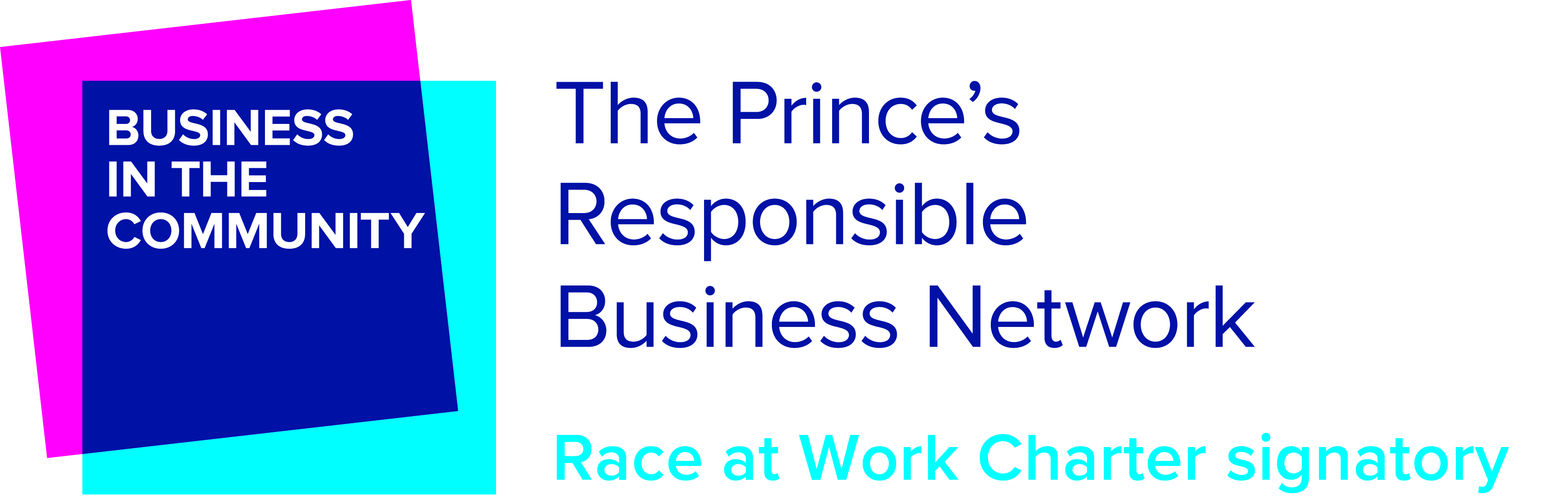 The Prince's responsible business network