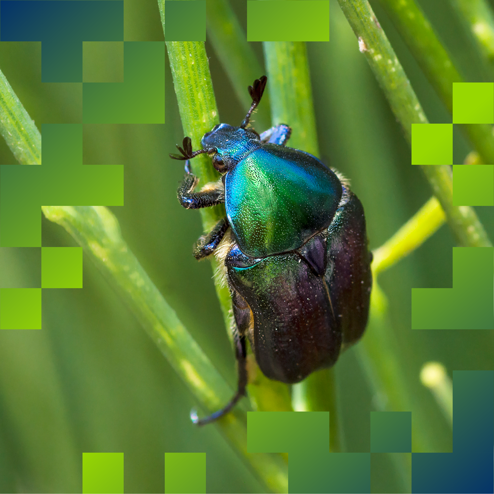 Planet_1.jpg Planet_1.jpg